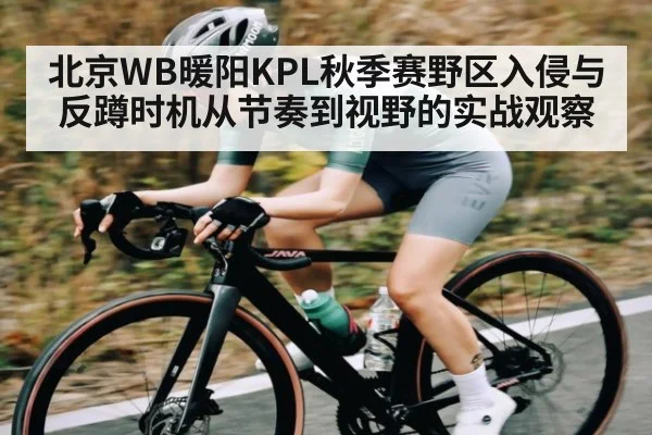 北京WB暖阳KPL秋季赛野区入侵与反蹲时机从节奏到视野的实战观察